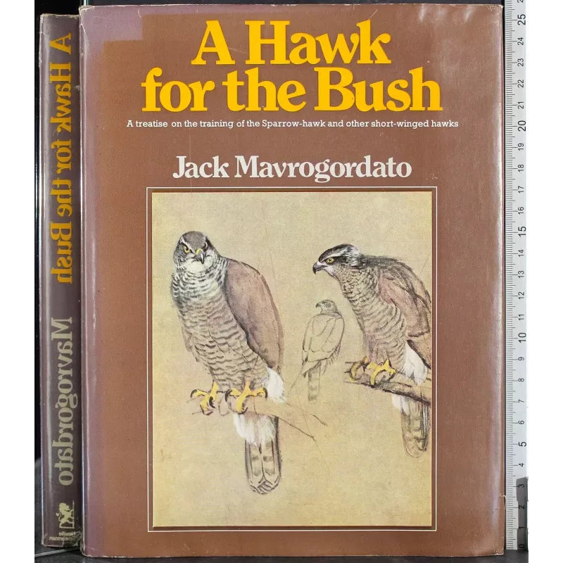 A Hawk for the Bush