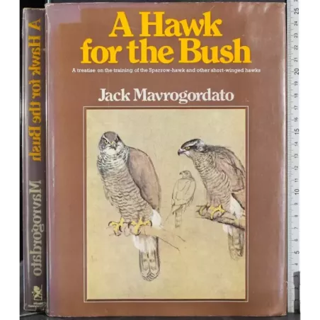 A Hawk for the Bush