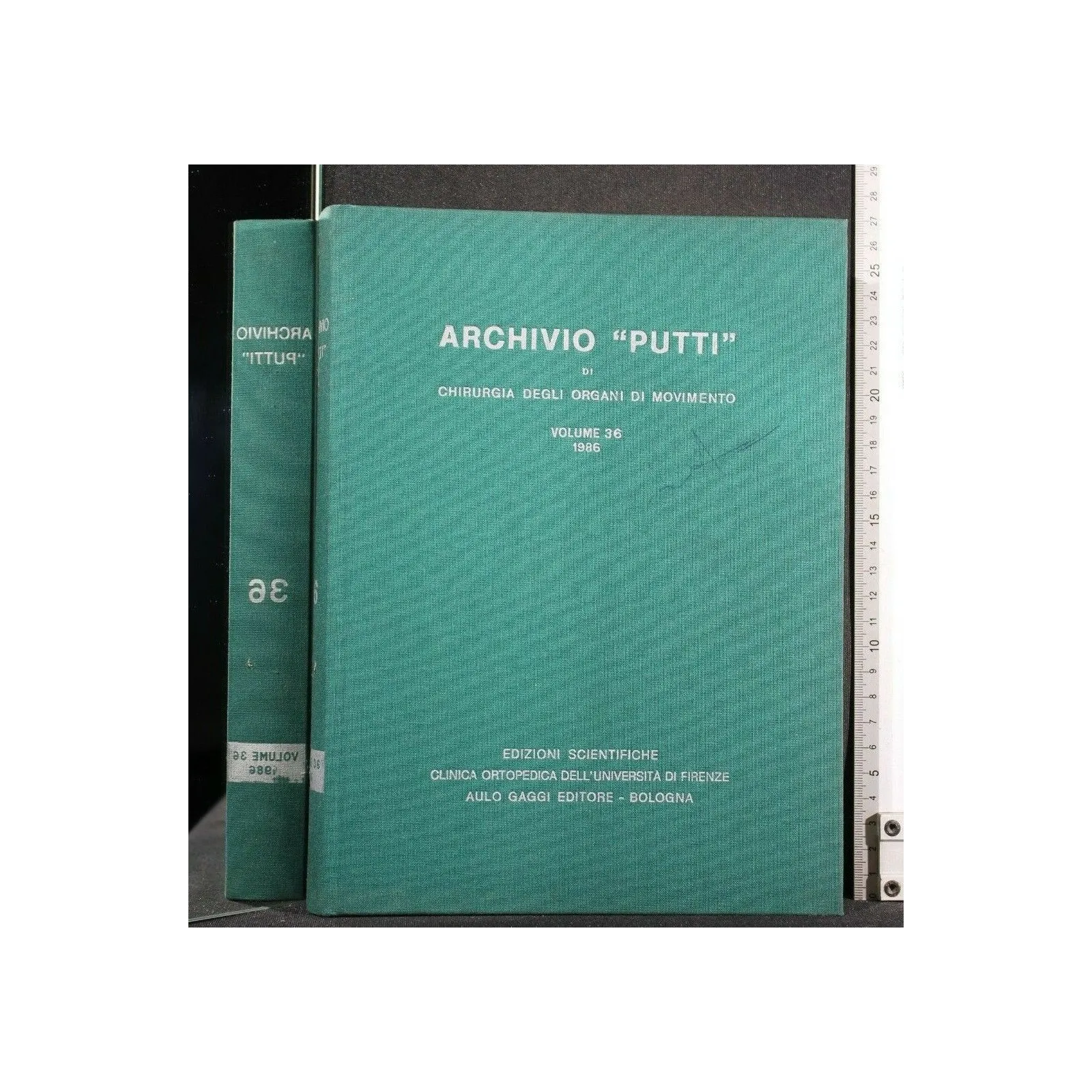 ARCHIVIO "PUTTI" DI CHIRURGIA DEGLI ORGANI DI MOVIMENTO VOL 36