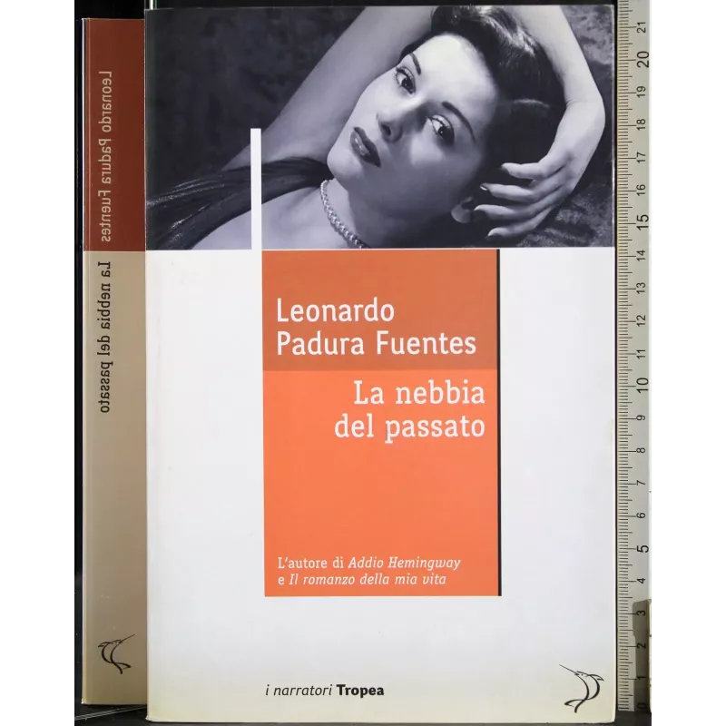 La nebbia del passato