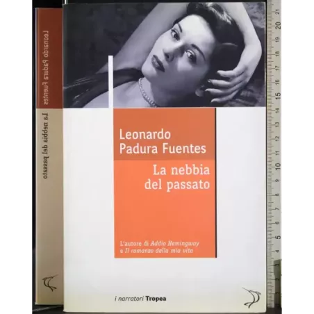 La nebbia del passato