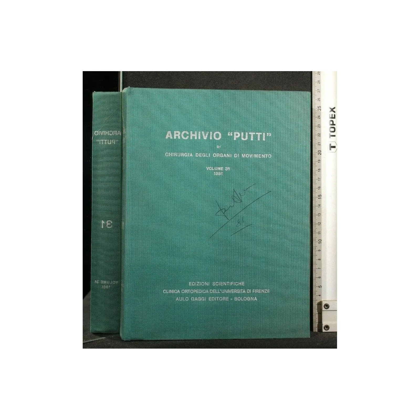 ARCHIVIO "PUTTI" DI CHIRURGIA DEGLI ORGANI DI MOVIMENTO VOL. 31