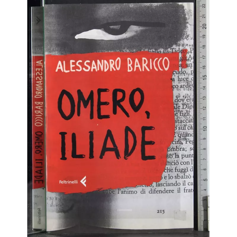 Omero, Illiade