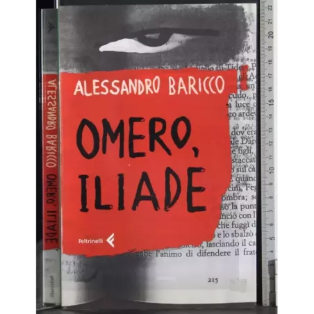 Omero, Illiade