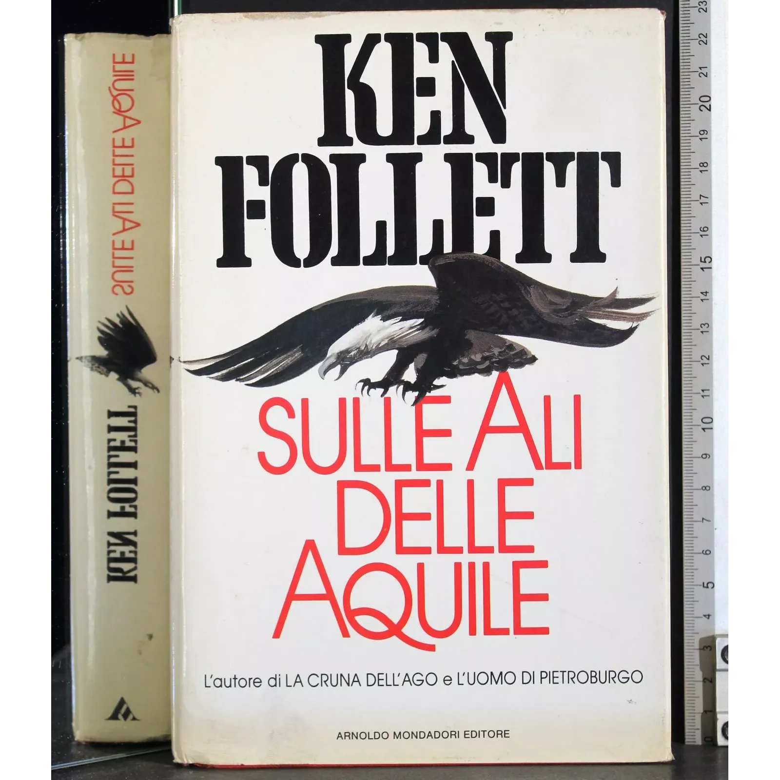 Sulle ali delle aquile
