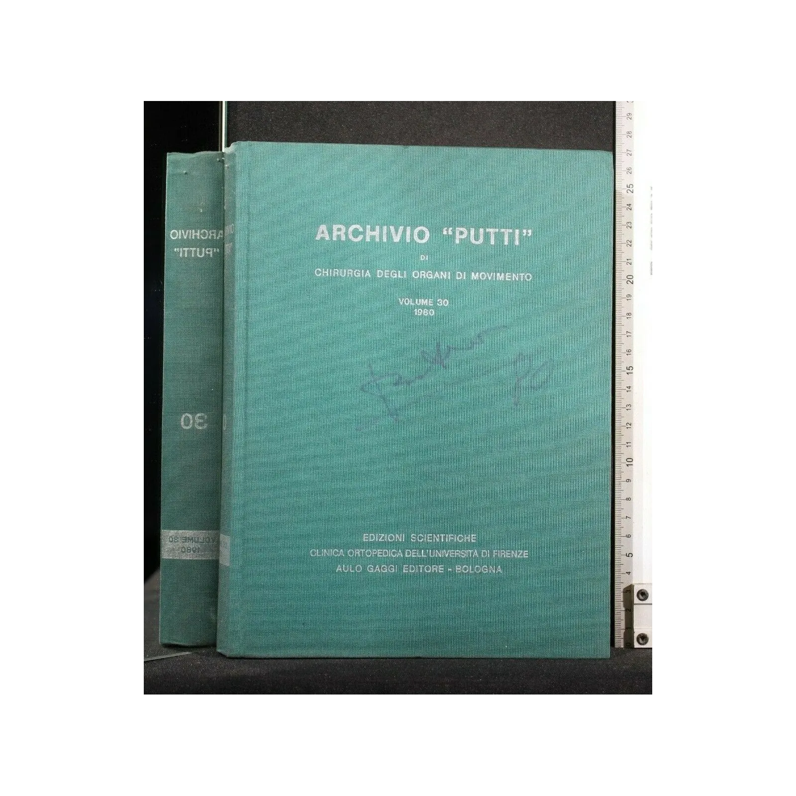 ARCHIVIO "PUTTI" DI CHIRURGIA DEGLI ORGANI DI MOVIMENTO VOL 30