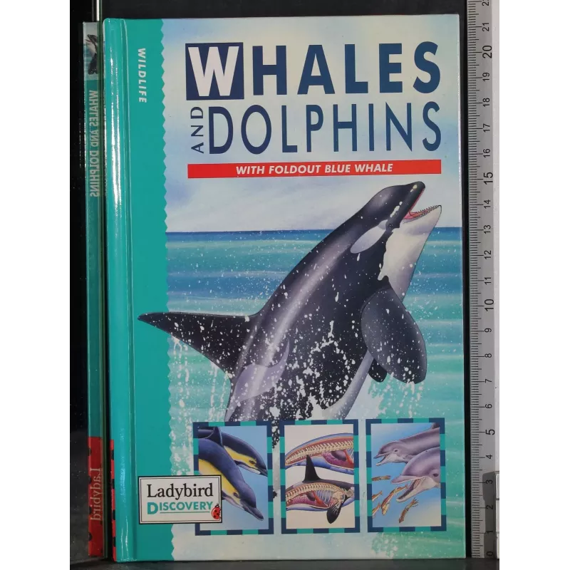 Whales and dolphins