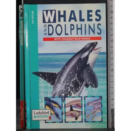 Whales and dolphins