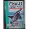 Whales and dolphins