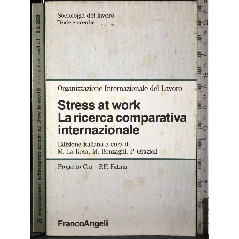 Stress at work. La ricerca comparativa internazionale