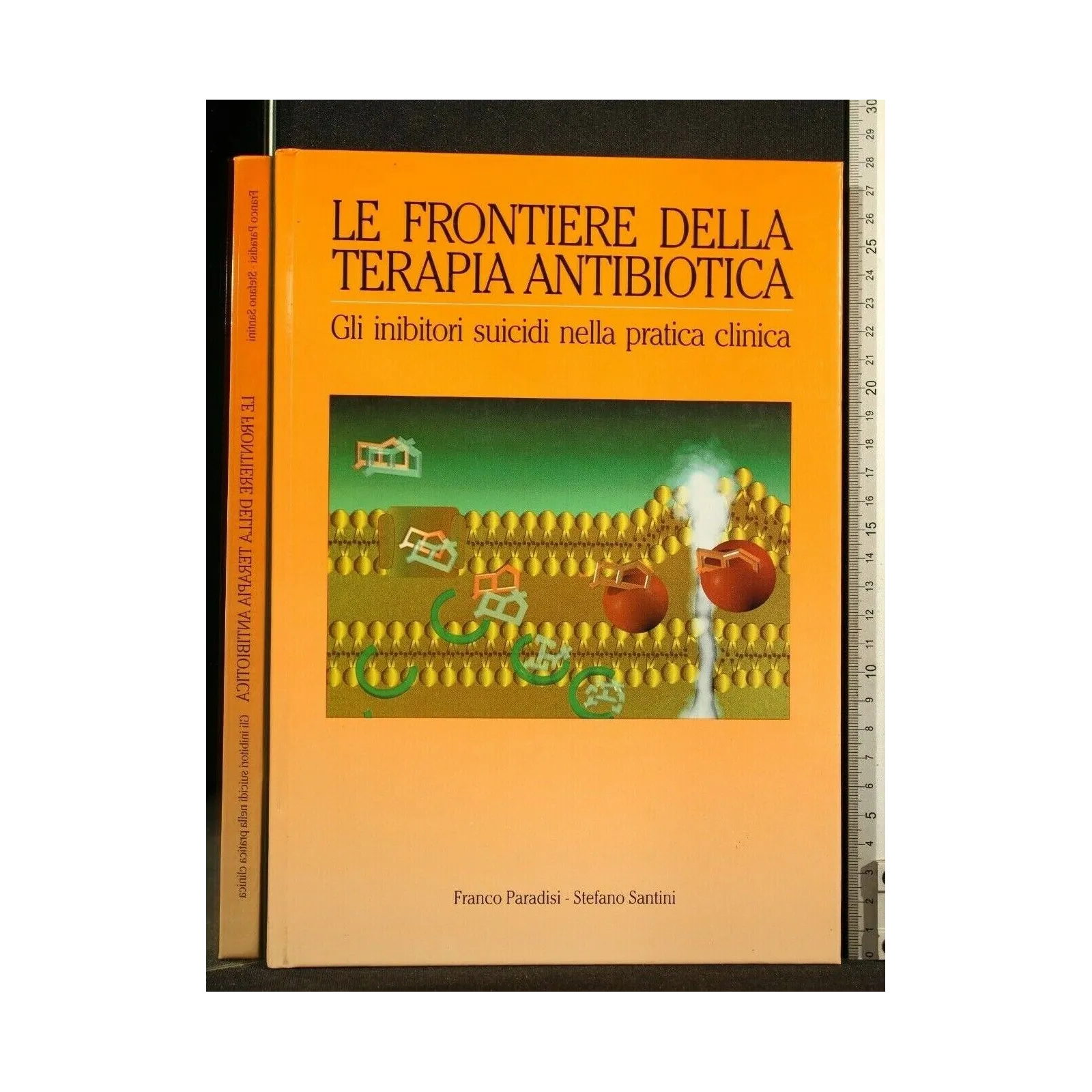 LE FRONTIERE DELLA TERAPIA ANTIBIOTICA