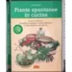 Piante spontanee in cucina