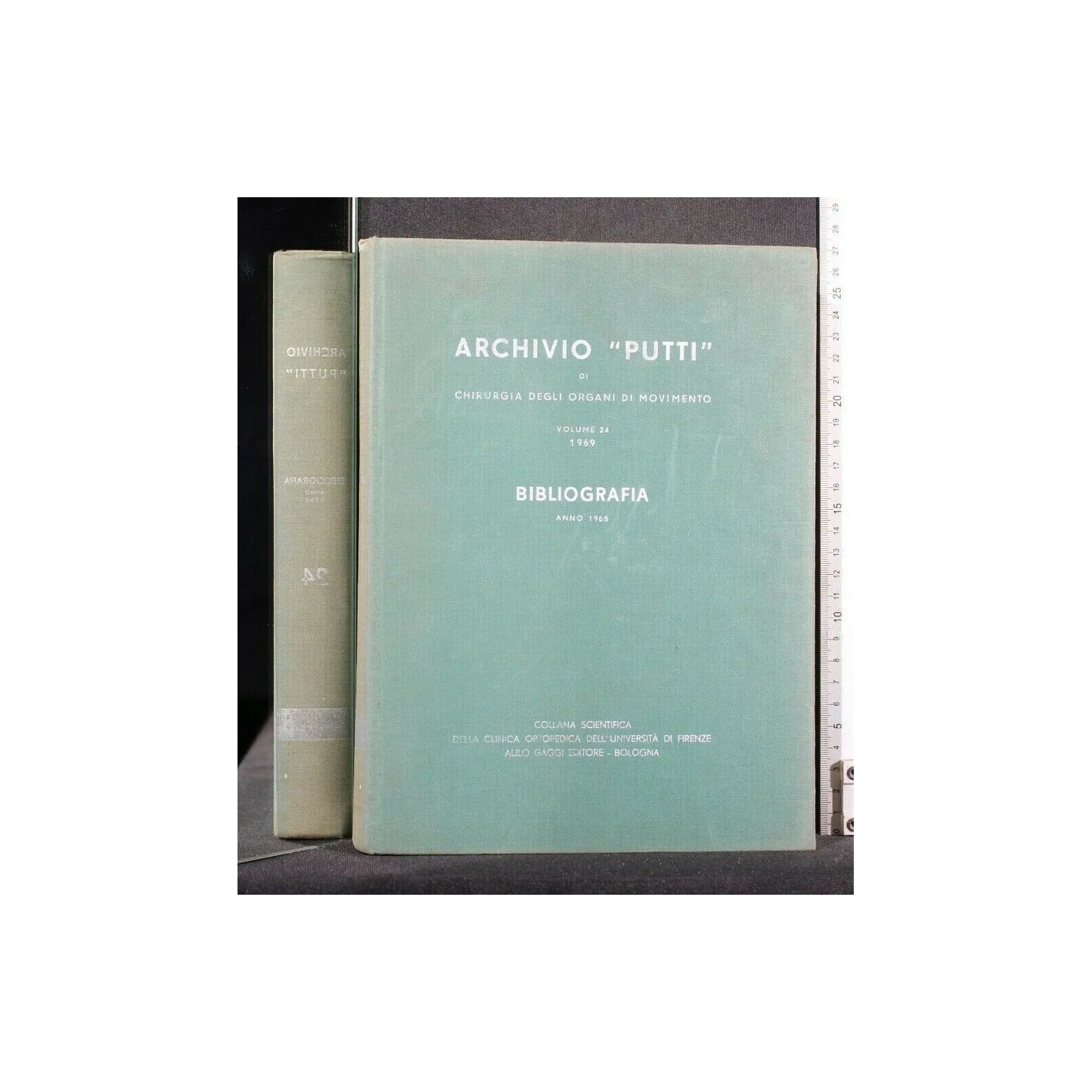 ARCHIVIO "PUTTI" DI CHIRURGIA DEGLI ORGANI DI MOVIMENTO VOL. 24