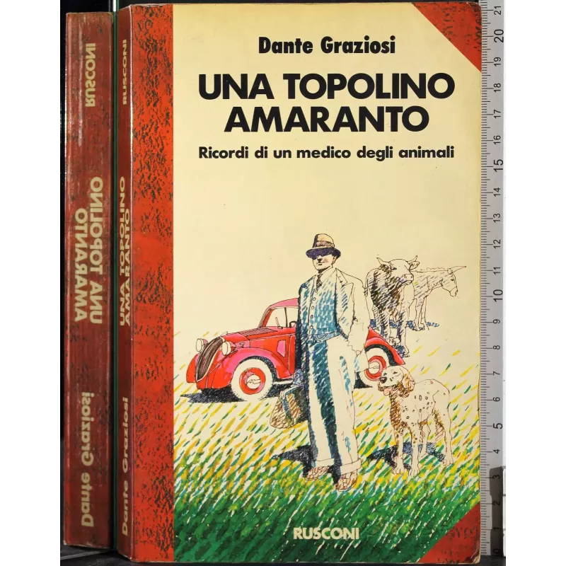 Topolino amaranto