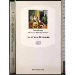 La strada di Swann