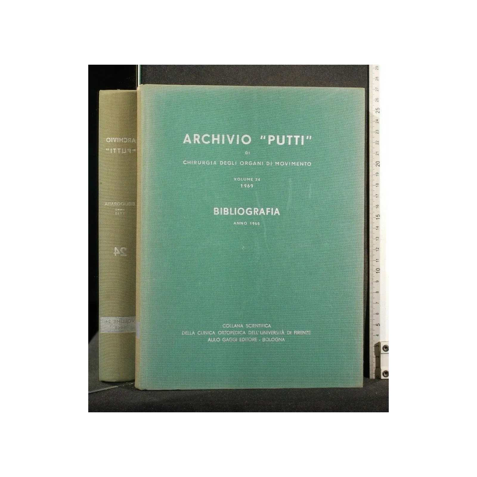 ARCHIVIO "PUTTI" DI CHIRURGIA DEGLI ORGANI DI MOVIMENTO VOL. 24