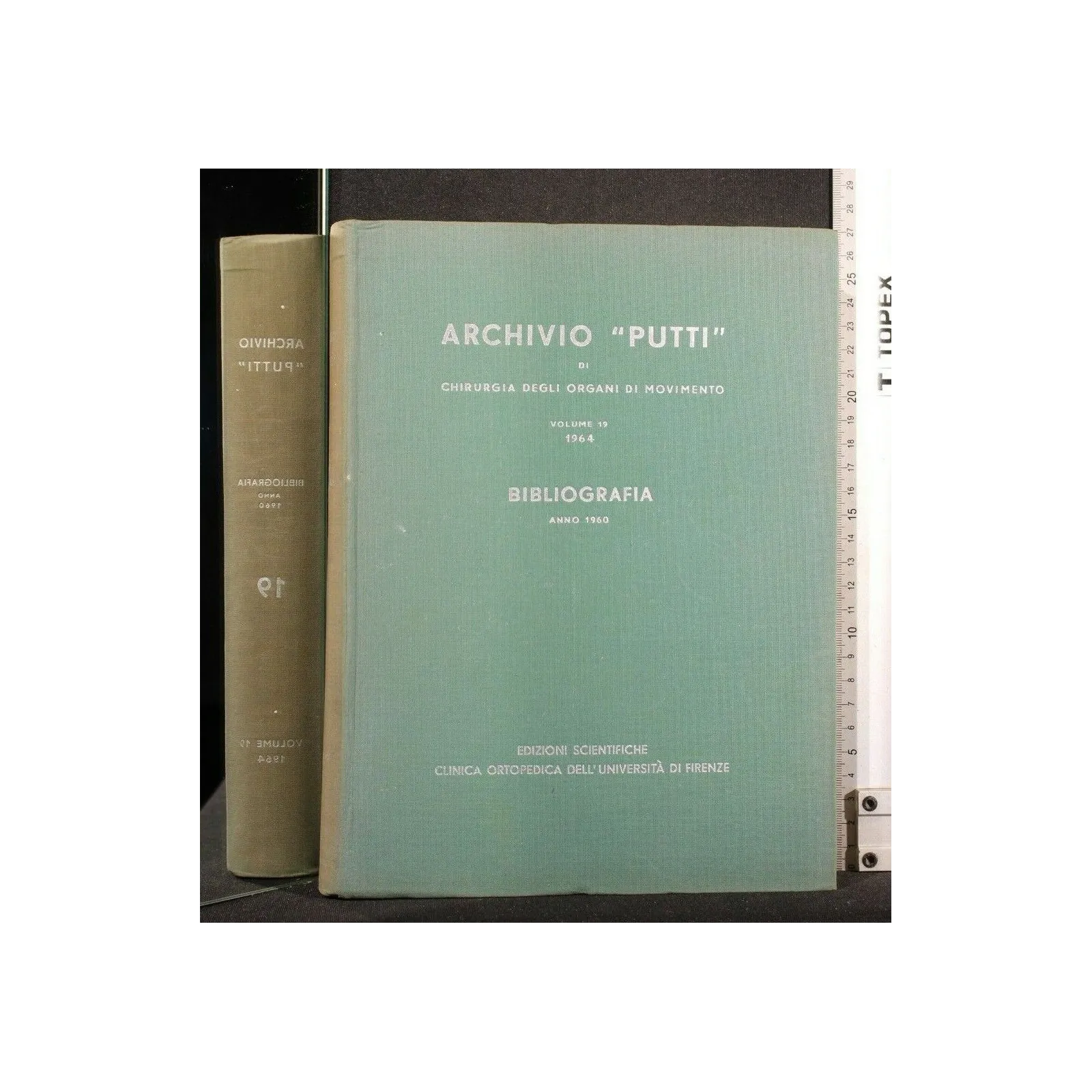 ARCHIVIO "PUTTI" DI CHIRURGIA DEGLI ORGANI DI MOVIMENTO VOL 19