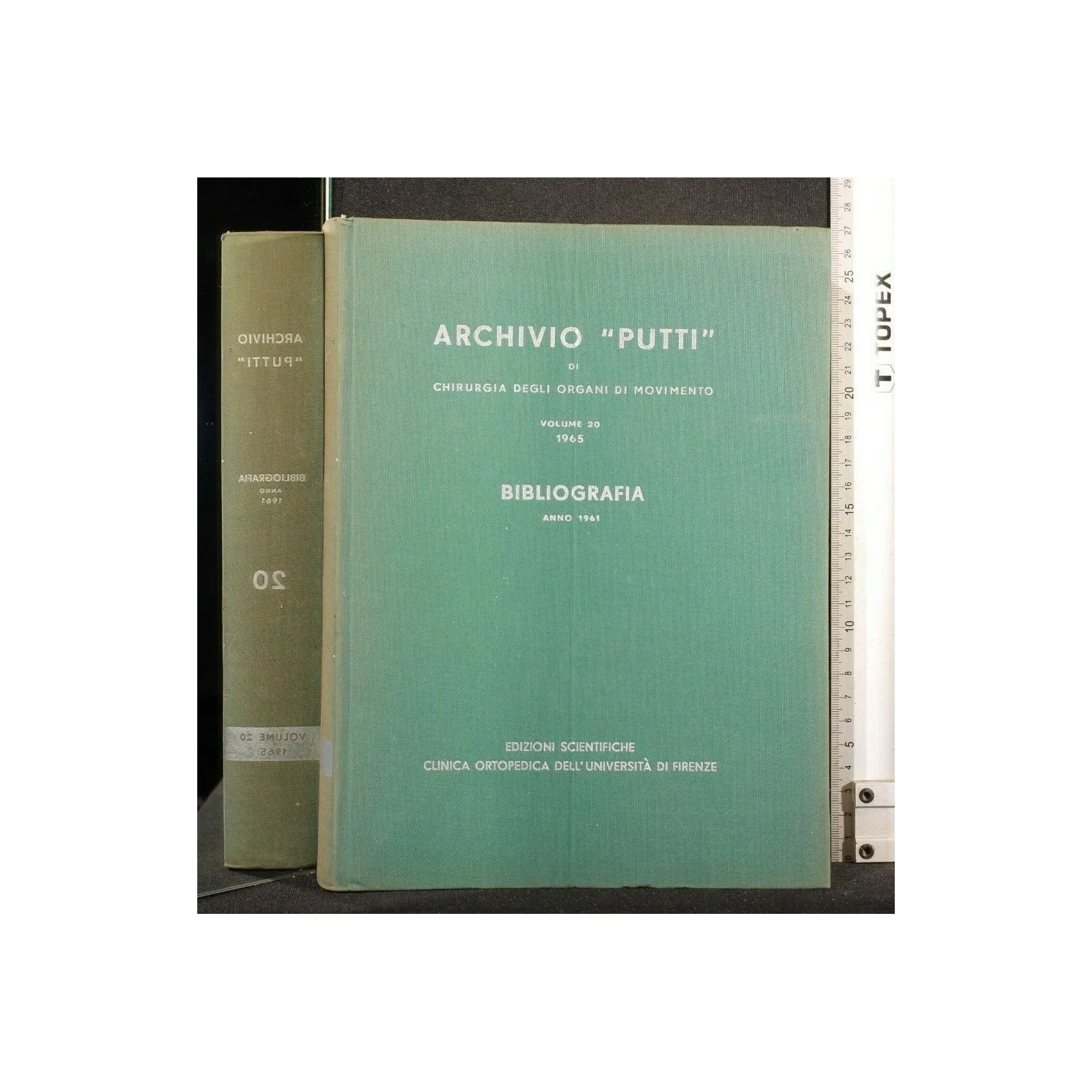 ARCHIVIO "PUTTI" DI CHIRURGIA DEGLI ORGANI DI MOVIMENTO VOL 20