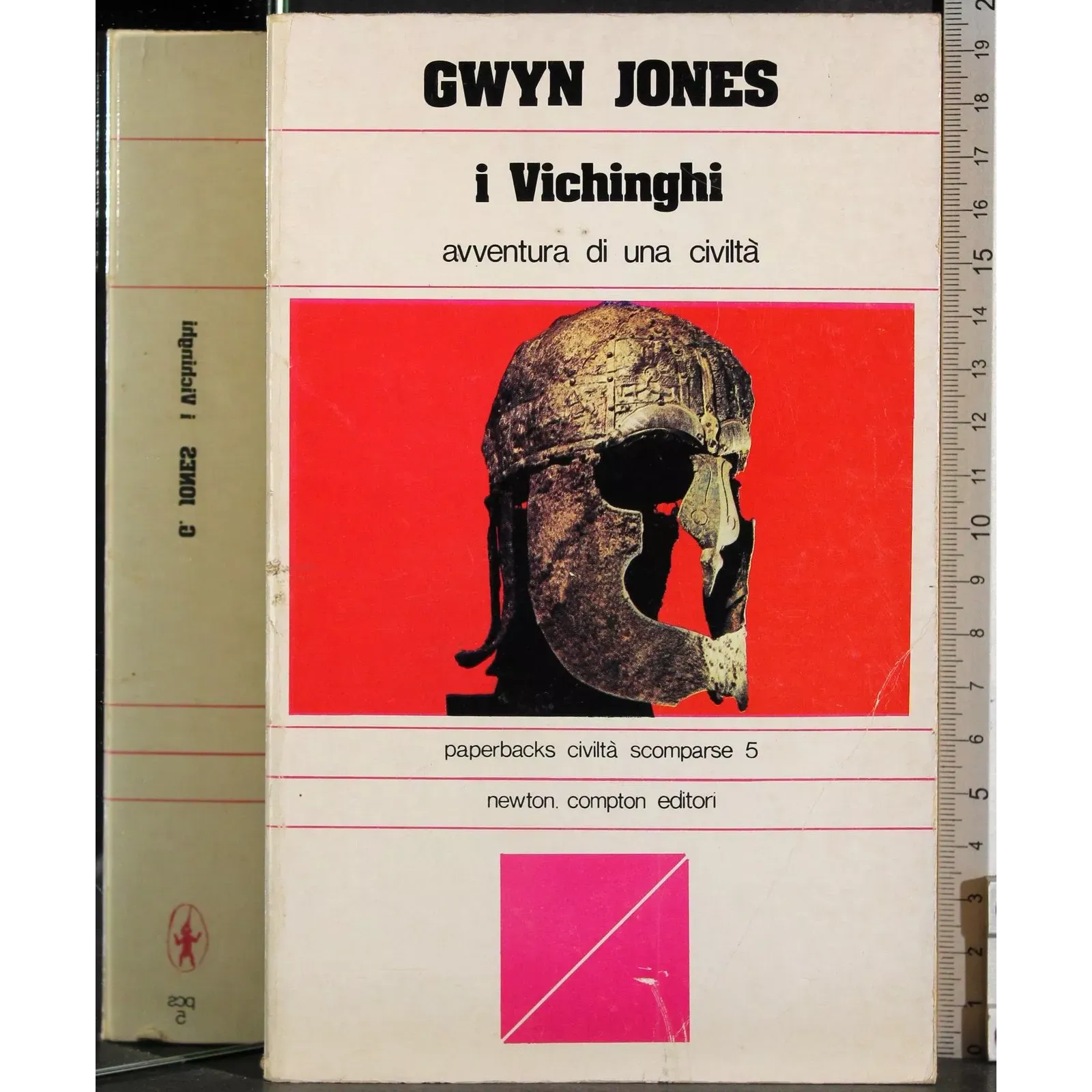 I Vichinghi