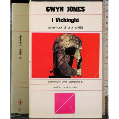I Vichinghi