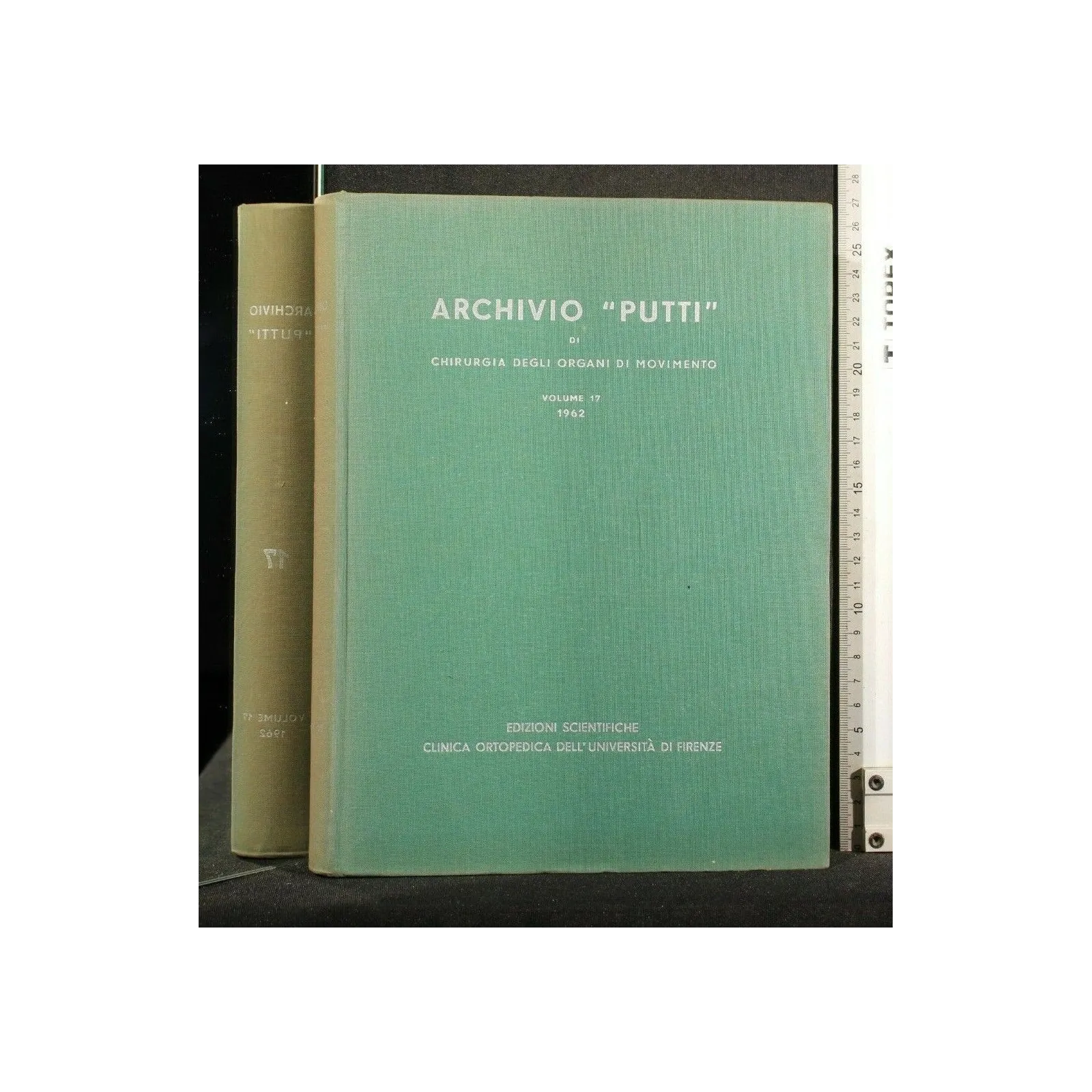 ARCHIVIO "PUTTI" DI CHIRURGIA DEGLI ORGANI DI MOVIMENTO VOL 19