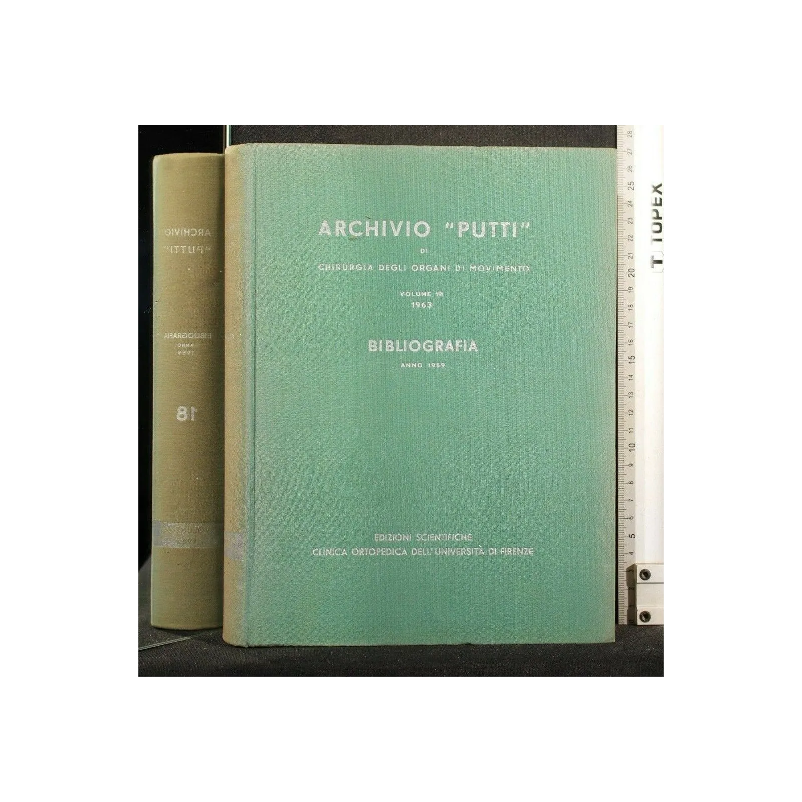 ARCHIVIO "PUTTI" DI CHIRURGIA DEGLI ORGANI DI MOVIMENTO VOL 18