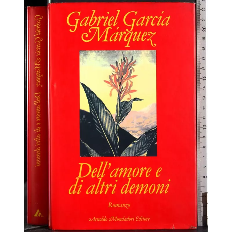 Dell'amore e di altri demoni