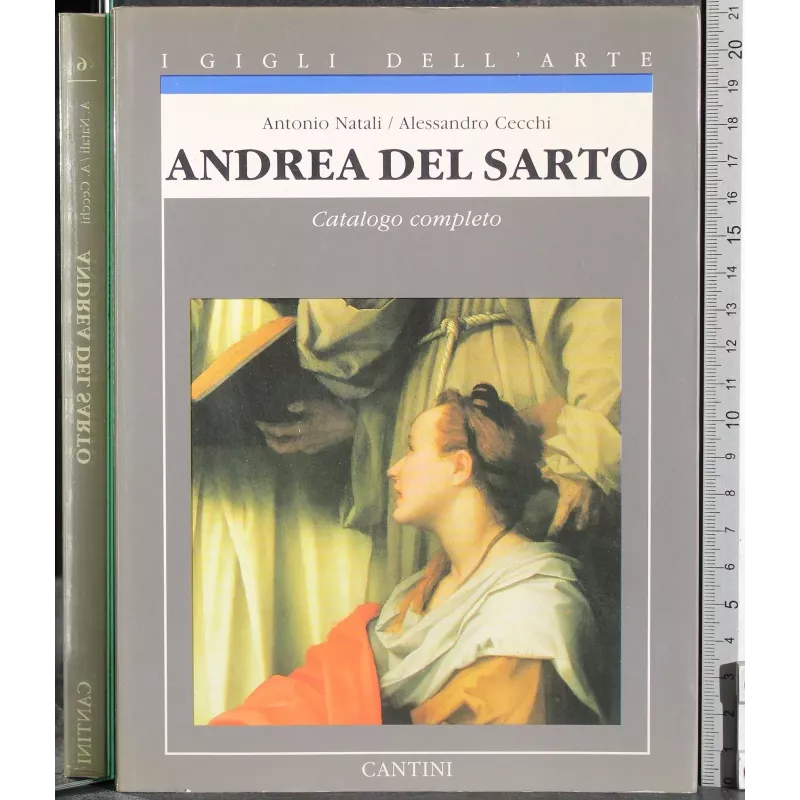 Andrea Del Sarto