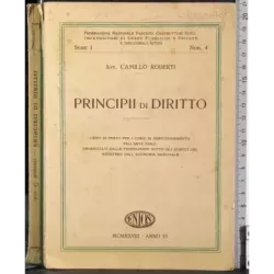 Principii di diritto