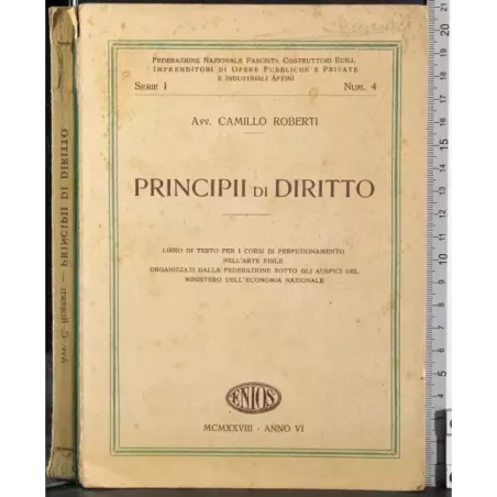 Principii di diritto