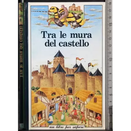 Tra le mura del castello