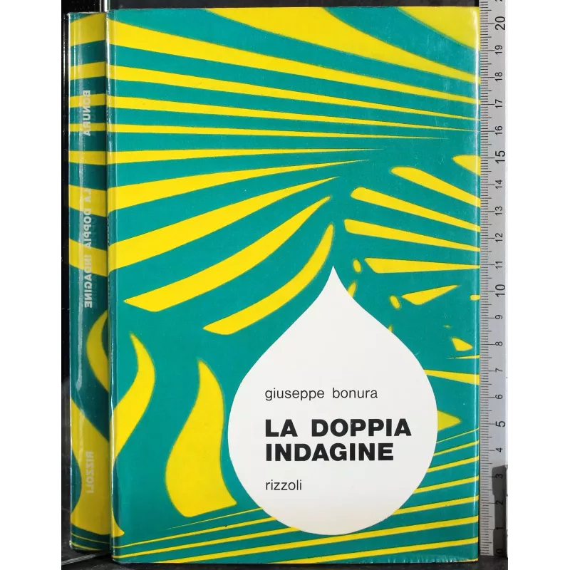 La doppia indagine
