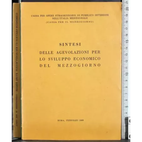 Sintesi agevolazioni per lo sviluppo economico del mezzogiorno