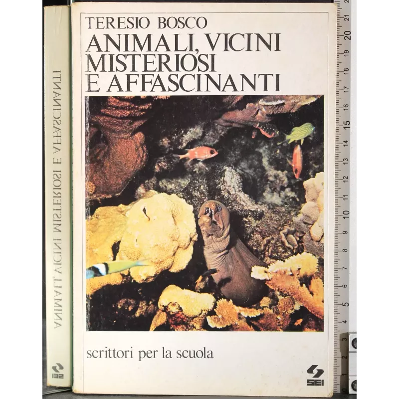 Animali, vicini misteriosi e affascinnanti