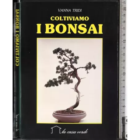 Coltiviamo i Bonsai