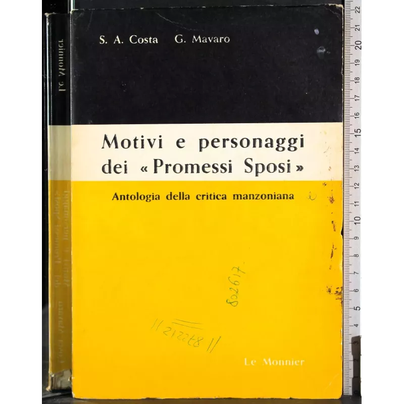 Motivi e personaggi dei ''Promessi Sposi''