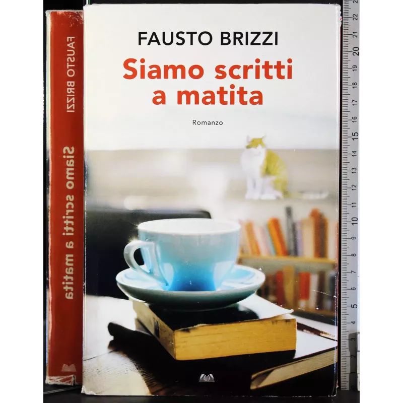 Siamo scritti a matita