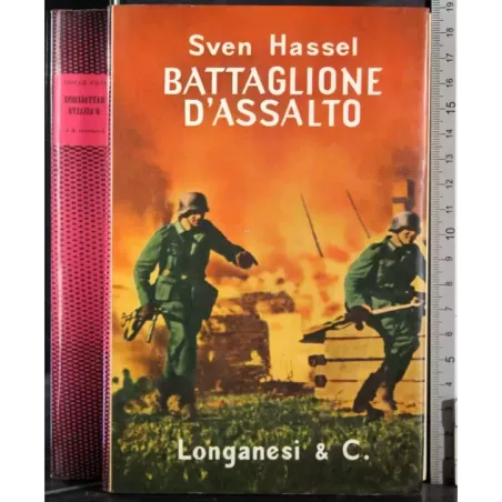 Battaglione d'assalto