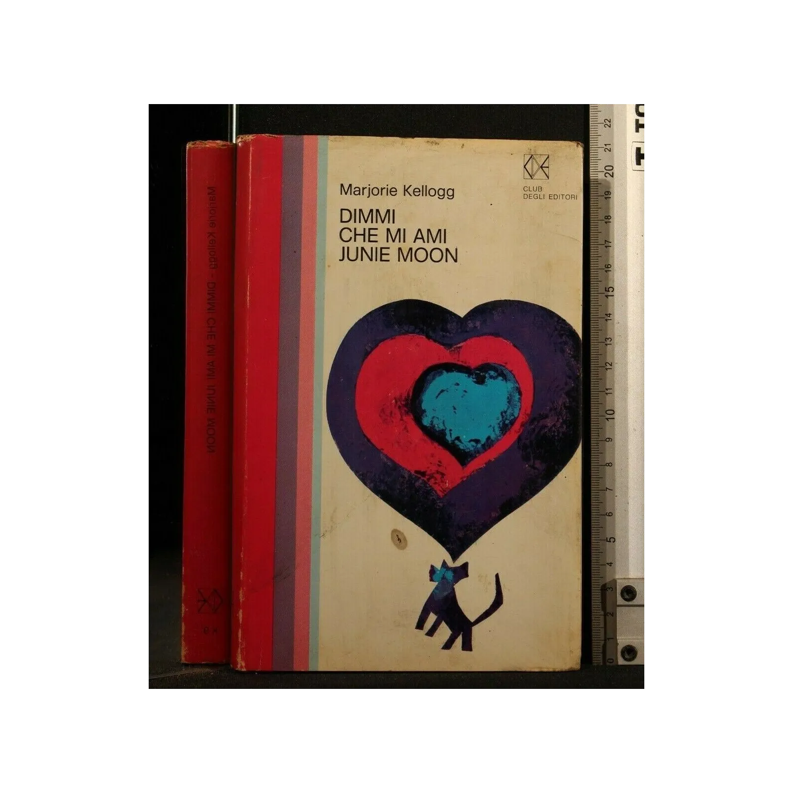 DIMMI CHE MI AMI JUNIE MOON