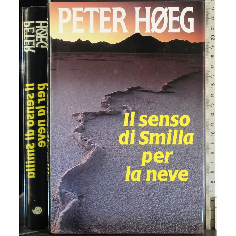Il senso di Similla per la neve