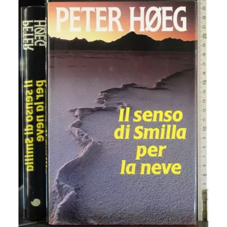 Il senso di Similla per la neve