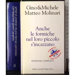 Anche le formiche nel loro piccolo s'incazzano