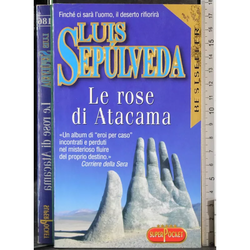 Le rose di Atacama