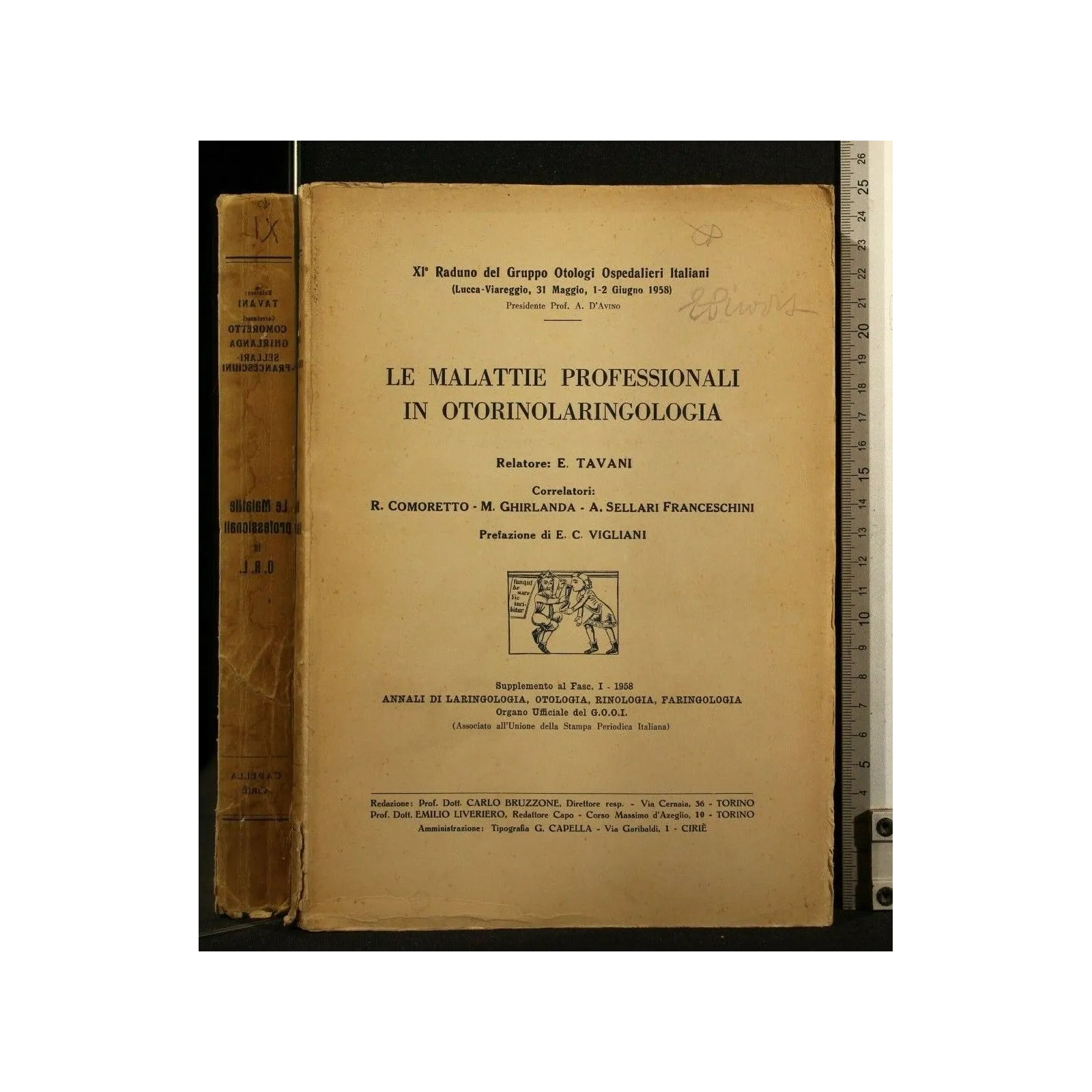 LE MALATTIE PROFESSIONALI IN OTORINOLARINGOLOGIA SUPPL FASC 1,