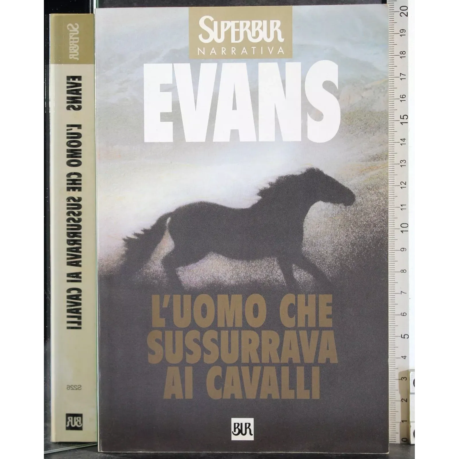 L'uomo che sussurrava ai cavalli
