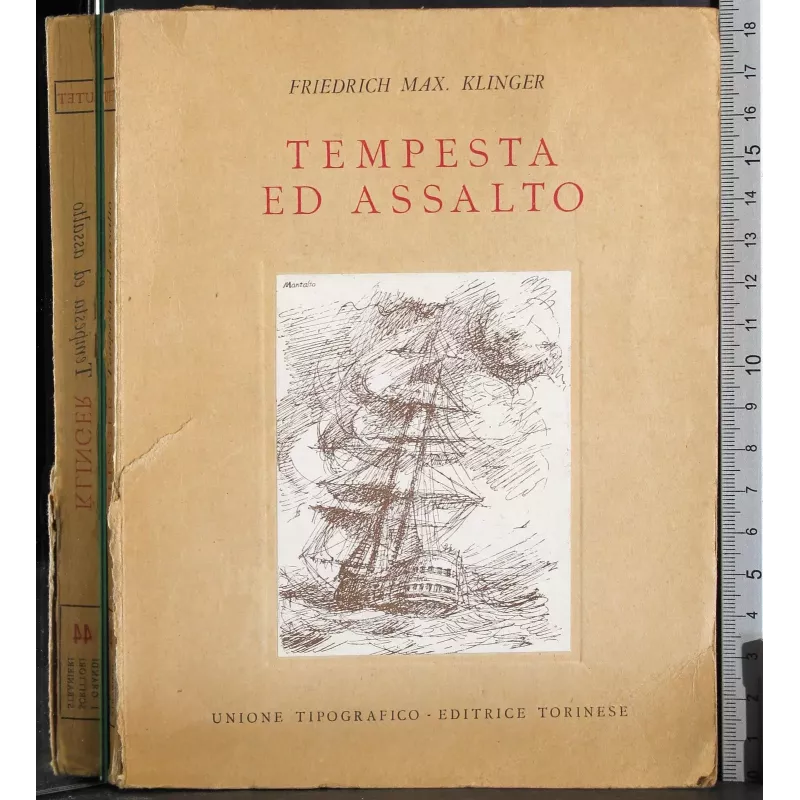 Tempesta d'assalto