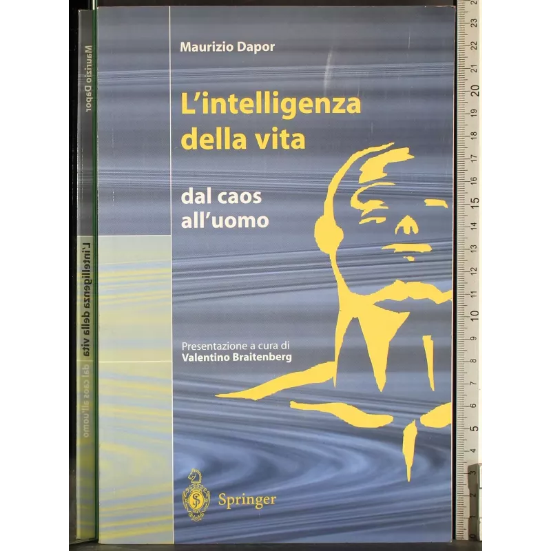 Maurizio Dapor