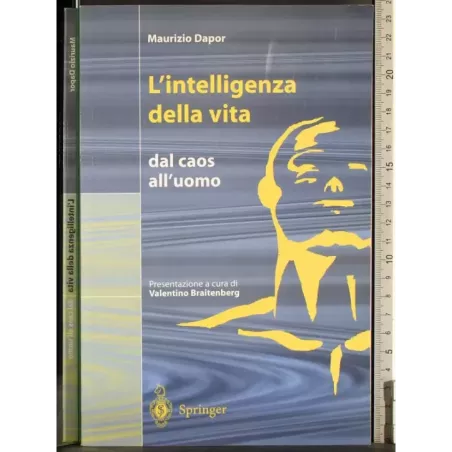 Maurizio Dapor