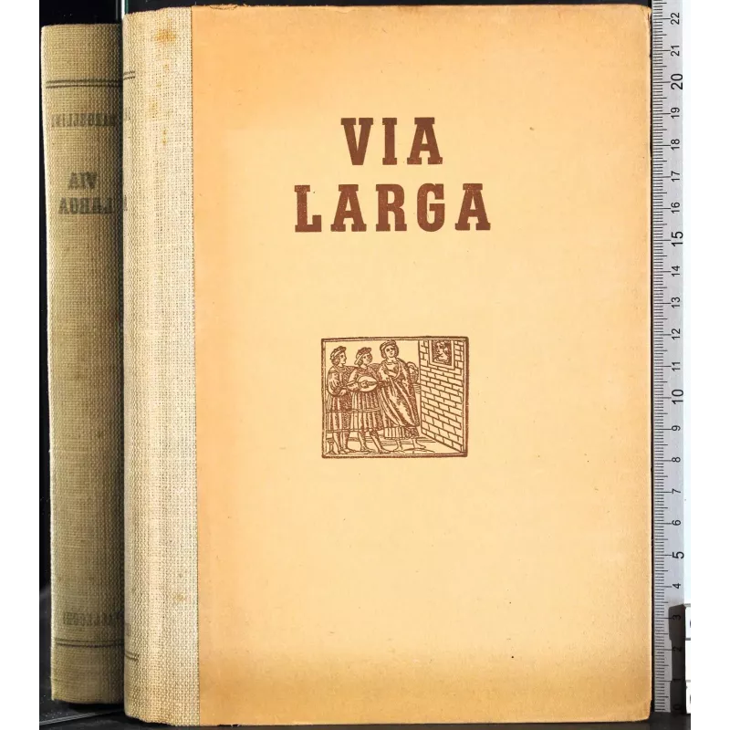 Via larga