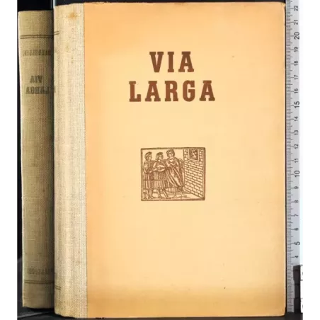 Via larga